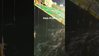 Download lagu ABK Kapal cumi Taiwan #pelautindonesia mp3 Download lagu ABK Kapal cumi Taiwan #pelautindonesia mp3