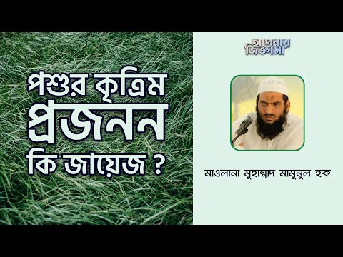 পশুর কৃত্রিম প্রজনন কি জায়েজ ?