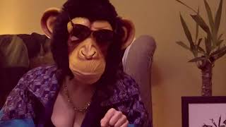 Cortometraje Monkey Dance