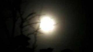 Canaan- A magic farewell