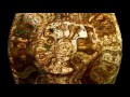 HOLLY JOHNSON ''DISCO HEAVEN'' (HEAVEN ...