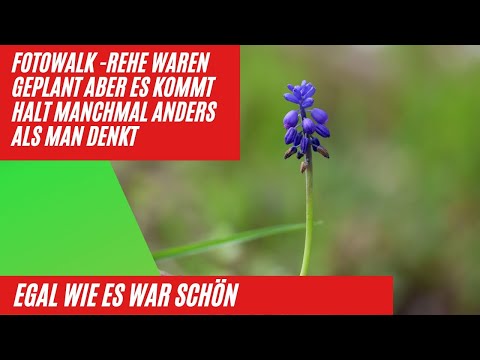 Fotowalk, manche Sachen kann man nicht planen, mann muss es nehmen wie es kommt