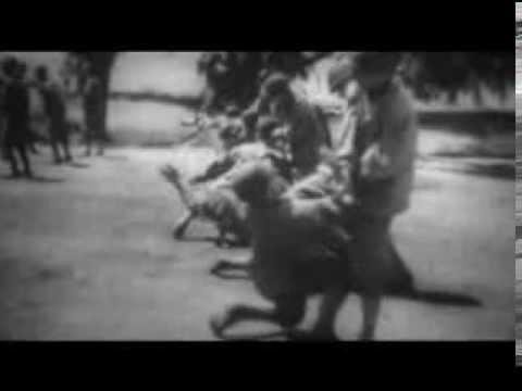 Marine Raiders of World War II