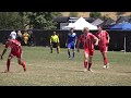 David Fawkes 2019 National Cup Highlights