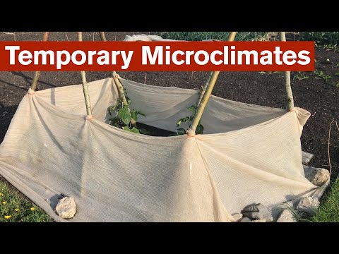 Temporary Microclimates
