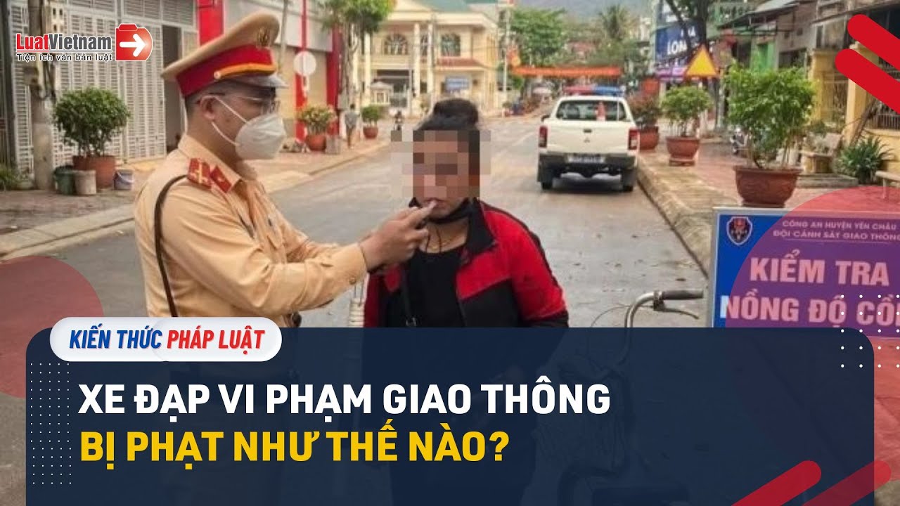 Người Đi Xe Đạp Cần Biết: Tổng Hợp Lỗi Vi Phạm Giao Thông Và Mức Phạt Từ 2025