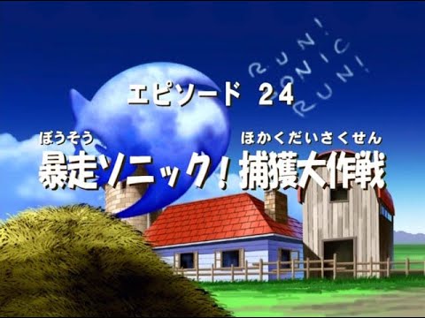 How To Catch A Hedgehog | Sonic X Episode 24 Review