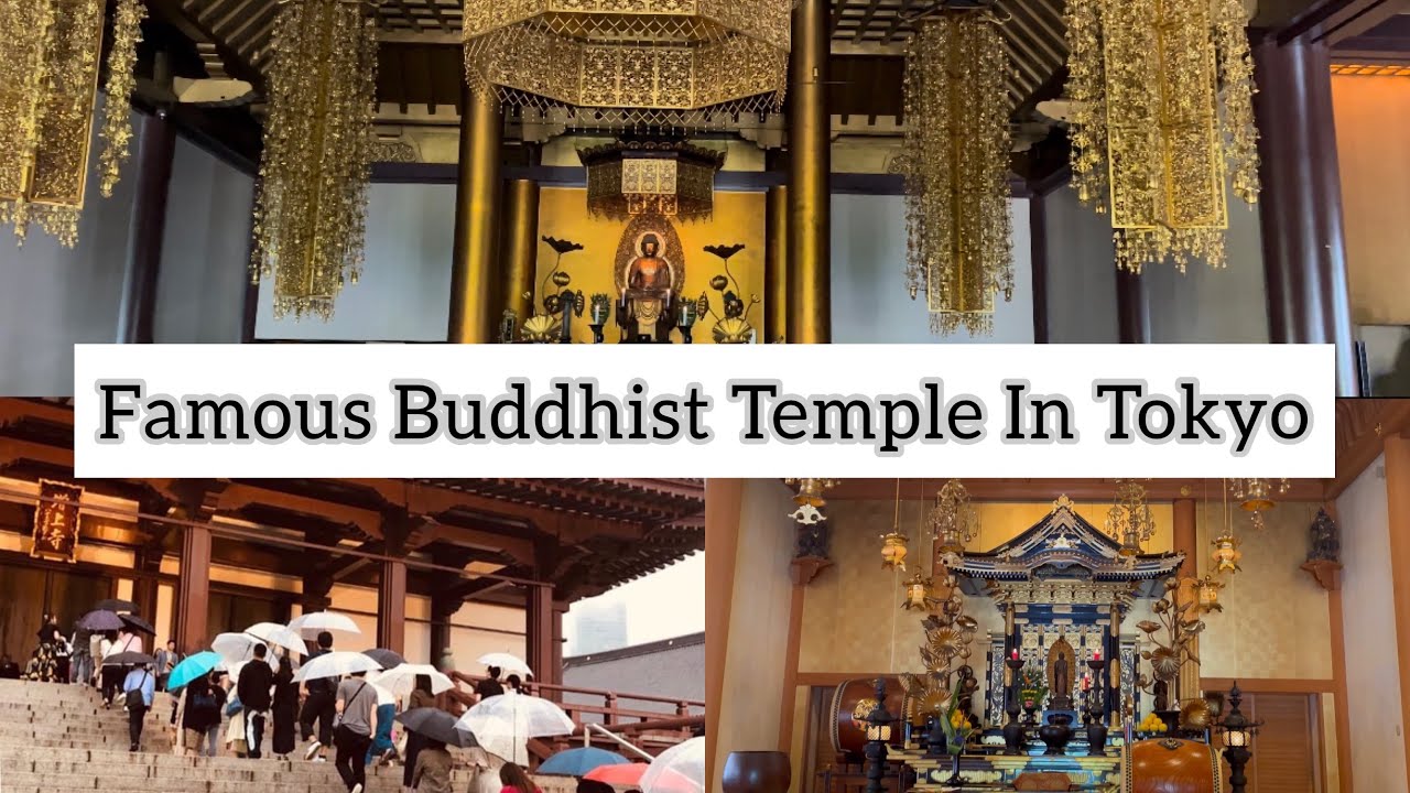 Embark on an enthralling video journey through the historic Zojo-ji Temple.