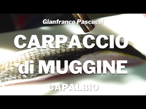 CARPACCIO di MUGGINE zafferano, gelso e finocchiella