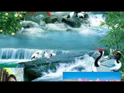 November 14, 2021/Dubai/Neeta khatri nature view