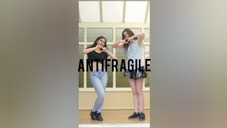 ANTIFRAGILE by LE SSERAFIM Relay Dance Cover