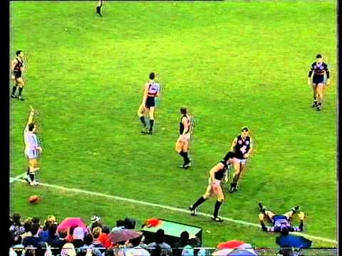Round 11, 1991, Footscray v Carlton highlights