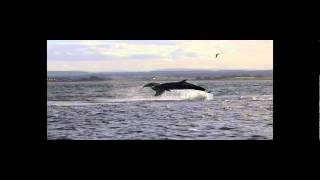 The Land, The Sky, The Sea. By Damh the Bard