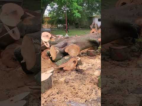 Un pequeño recorrido por el centro de Arroyo blanco 