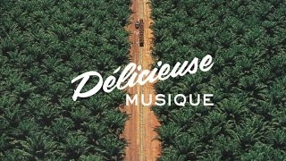 Shelter - Open The Door