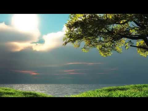 M-ai Binecuvantat o Doamne