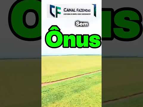 Fazenda no Mato Grosso de 3705 hectares a venda. Hoje 2000 hectares estão em agricultura! Assista.