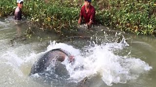 Hunting BIGGEST Dragon Fish from AMAZON River Monsters