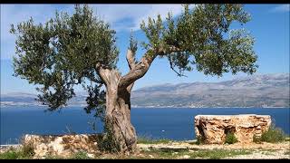 jovano jovanke-gothart