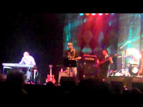 Pretzel Logic video 2