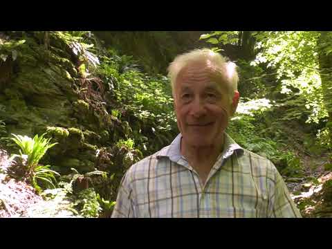 Der Wasserfall in Singhofen