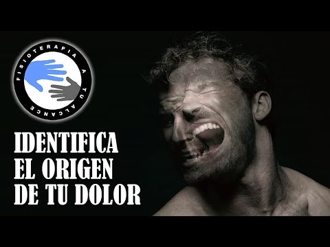 Identifica el origen de tu dolor