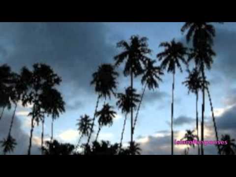 Click to Watch the The Heart's Witness Against Muhammad: The Murder of Ka'b bin Al-Ashraf video