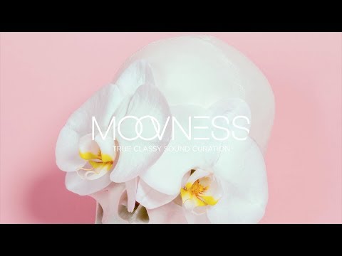 5 REASONS FEAT. MYSTERY SKULLS - DOWN ON MY KNEES (BOYS GET HURT REMIX)