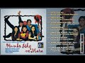 Humko Ishq Ne Mara Movies All Song Uploading By Shailesh Lambariya