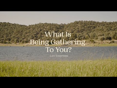 What Is Being Gathering to You? by Lex Empress