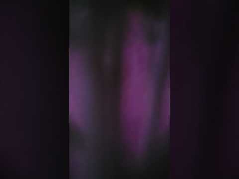 To the Kingdom of the Dwarfs