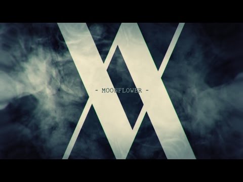 IN VICE VERSA - Moonflower (Official Video)