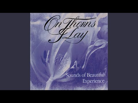 On Thousand Times cover