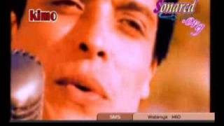 كلمات اغنية سلامات عامر منيب