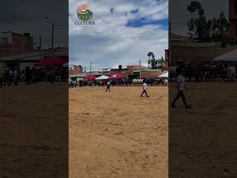 La cultura en Socha. #viajes #boyaca #turismorural