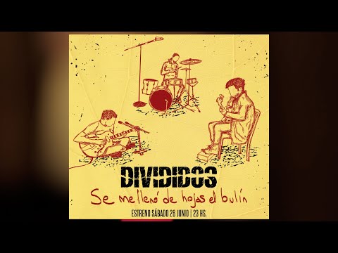 Divididos. Se me llenó de hojas el bulín.