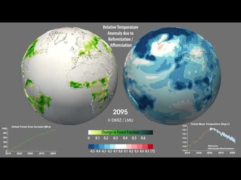 Visualization of simulated afforestation/reforestation to mitigate climate change