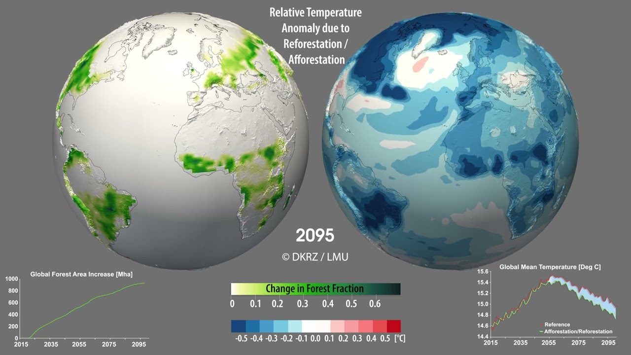 Visualization of simulated afforestation/reforestation to mitigate climate change