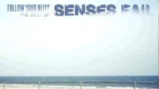 Senses Fail - Priest and The Matador