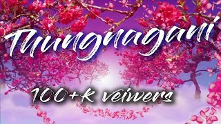 Thungnagani Lyrics ( Singer : Amarjit)