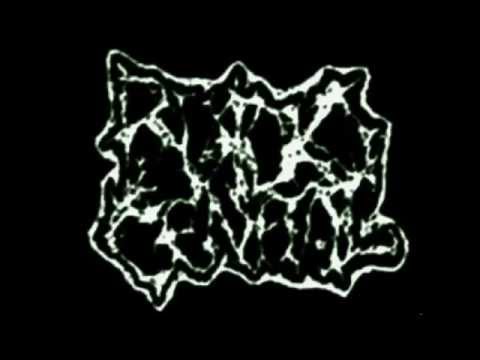 Ruido Genital - Track 56 Split Japura Noise Project