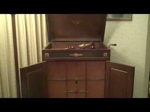 THE HIGH HATTERS - SOME SWEET SOMEONE - ROARING 20's VICTROLA 8-9