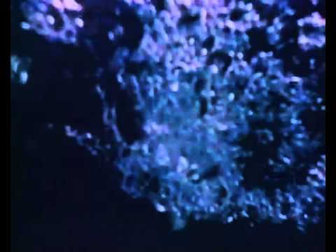 A Split Second  - Flesh 1986