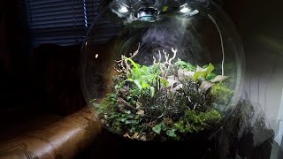 BiOrb Air 60 : Setup and Thoughts