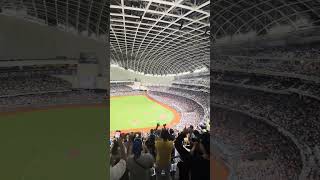 【Team Taiwan】 #premier12 台湾VS韓国@台北大巨蛋 20241113 #台湾チア #cheerdance #cheerleading #啦啦隊 #中華隊 #teamtaiwan