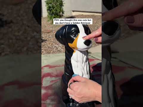 Do you think Odin approved?