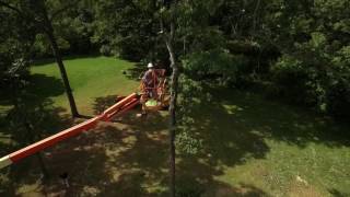 Tree Trimming at MC