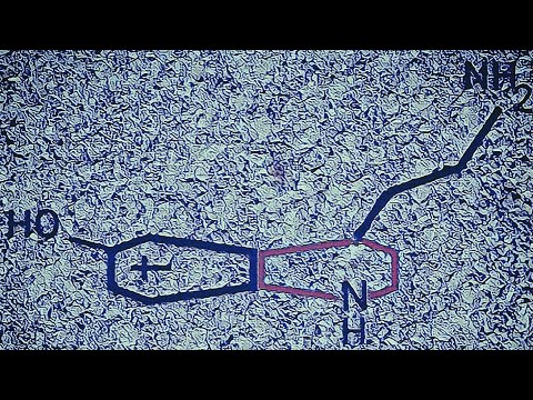 X3R0T0N1N (INSTRUMENTAL)