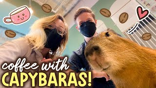 Tokyo’s CAPYBARA CAFE! (Kichijoji + Inokashira Park)