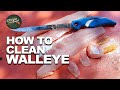 How to Clean Walleye (Fast Boneless Method for Walleye Fillet) | Rough Facts | Catch Clean Cook